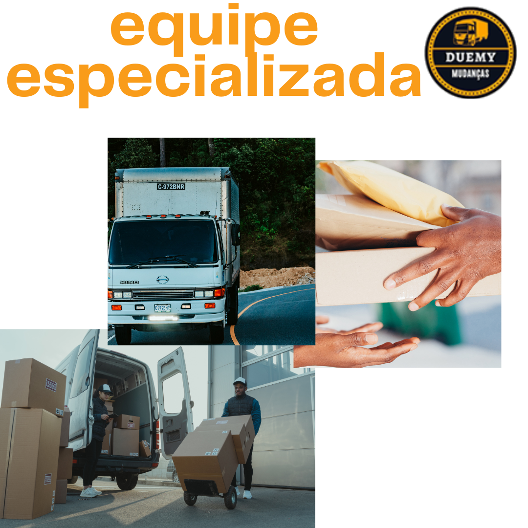 mudança com uma equipe especializada